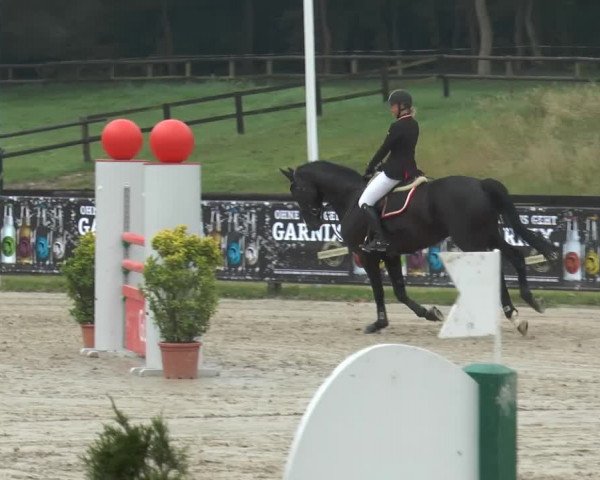 Bexter Hof Open 2014