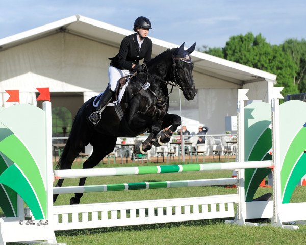 jumper Wocelli 6 (Hanoverian, 2000, from Weltruhm)