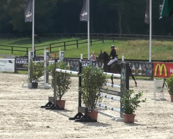 Bexter Hof Open 2014