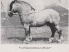 stallion Zalotant RS 966 (Rhenish-German Cold-Blood, 1929, from Tantalus von Tanneck RS 928)