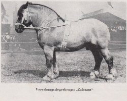 stallion Zalotant RS 966 (Rhenish-German Cold-Blood, 1929, from Tantalus von Tanneck RS 928)