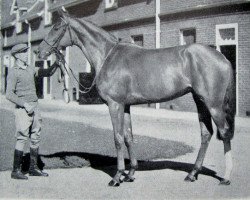 broodmare Aleutian xx (Thoroughbred, 1952, from Alycidon xx)