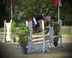 jumper Solero 90 (German Riding Pony, 2010, from Sampaio)