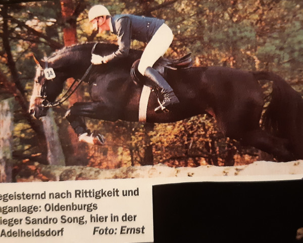 stallion Sandro Song (Oldenburg, 1987, from Sandro)