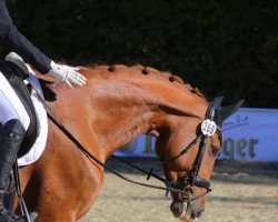 dressage horse Sugary Chérie (Westphalian, 2012, from Sir Heinrich OLD)