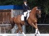 dressage horse Swing My Heart (Westphalian, 2012, from Sir Heinrich OLD)