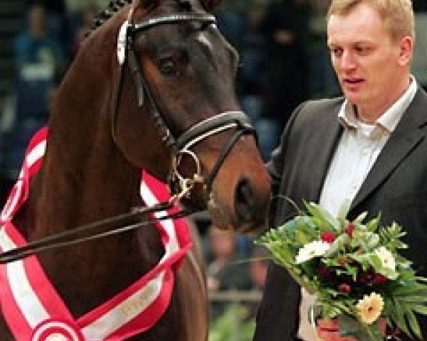 stallion Schufro Hit (Oldenburg, 2003, from Sandro Hit)