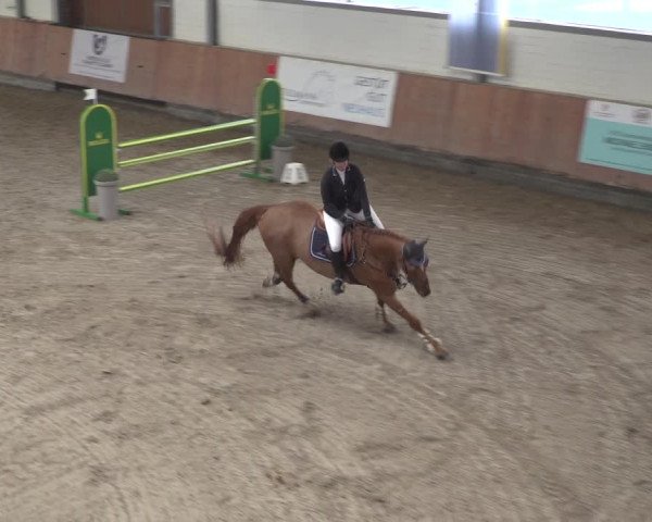 Reitturnier Grevenbroich - Gut Neuhaus 2021