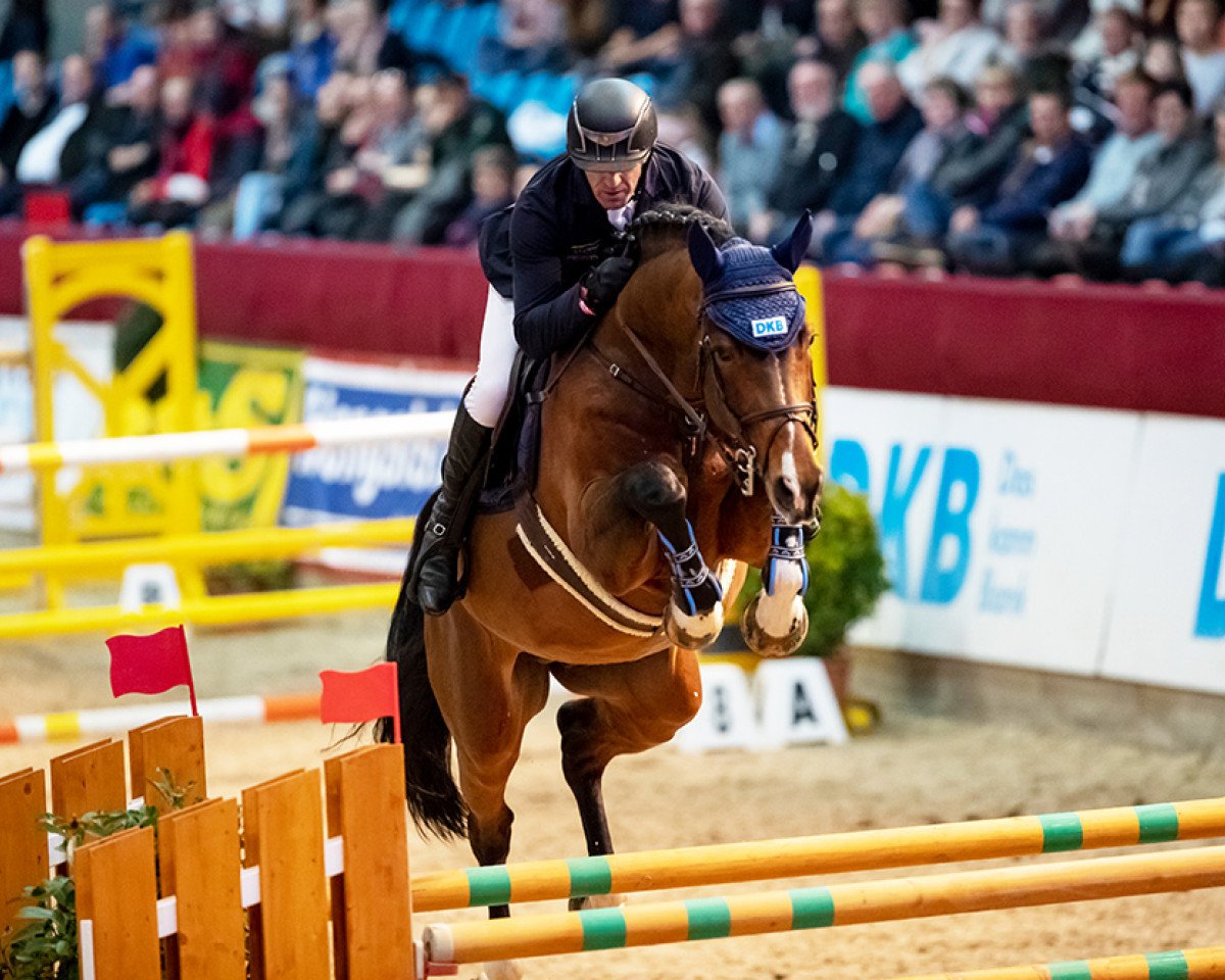 stallion Diamant de Plaisir (Hanoverian, 2012, from Diamant de Semilly)