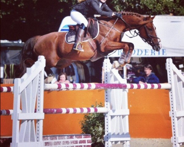 jumper Ricky de La Tour (French Pony, 2005, from Machno Carwyn)
