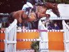 jumper Ricky de La Tour (French Pony, 2005, from Machno Carwyn)