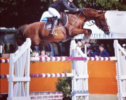 jumper Ricky de La Tour (French Pony, 2005, from Machno Carwyn)