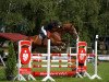 jumper Chaccolisto (German Sport Horse, 2006, from Chacco-Blue)