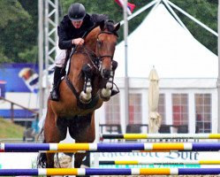 jumper Dalfsen (KWPN (Royal Dutch Sporthorse), 2008, from Colandro)