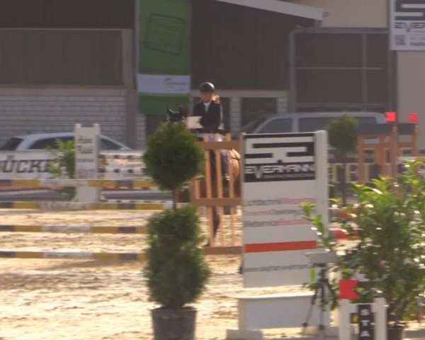 Vinnumer Reitertage 2014