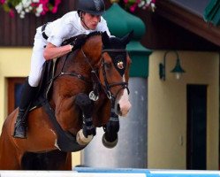 jumper Available Florence (Irish Sport Horse, 2008, from Lux Z)