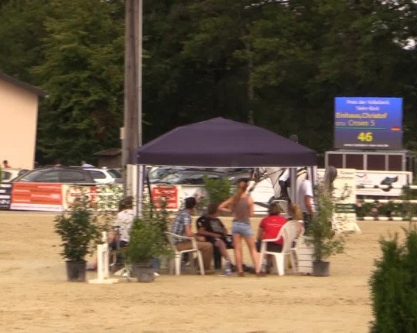 Vinnumer Reitertage 2014