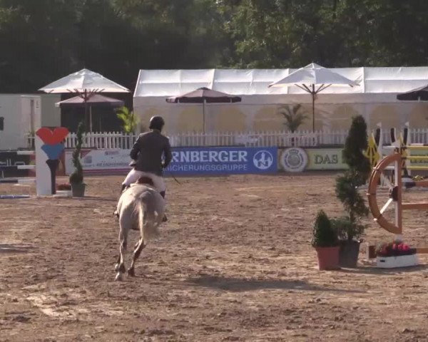 61. Lobbericher Reitsportfestival CSN