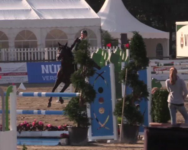 61. Lobbericher Reitsportfestival CSN