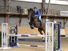 jumper Fortender Denfer (Luxembourg horse, 2016, from For Pleasure)