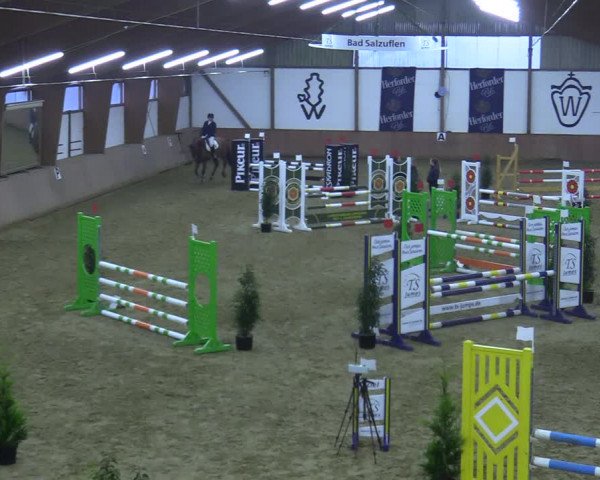 Reitturnier Bad Salzuflen 2021
