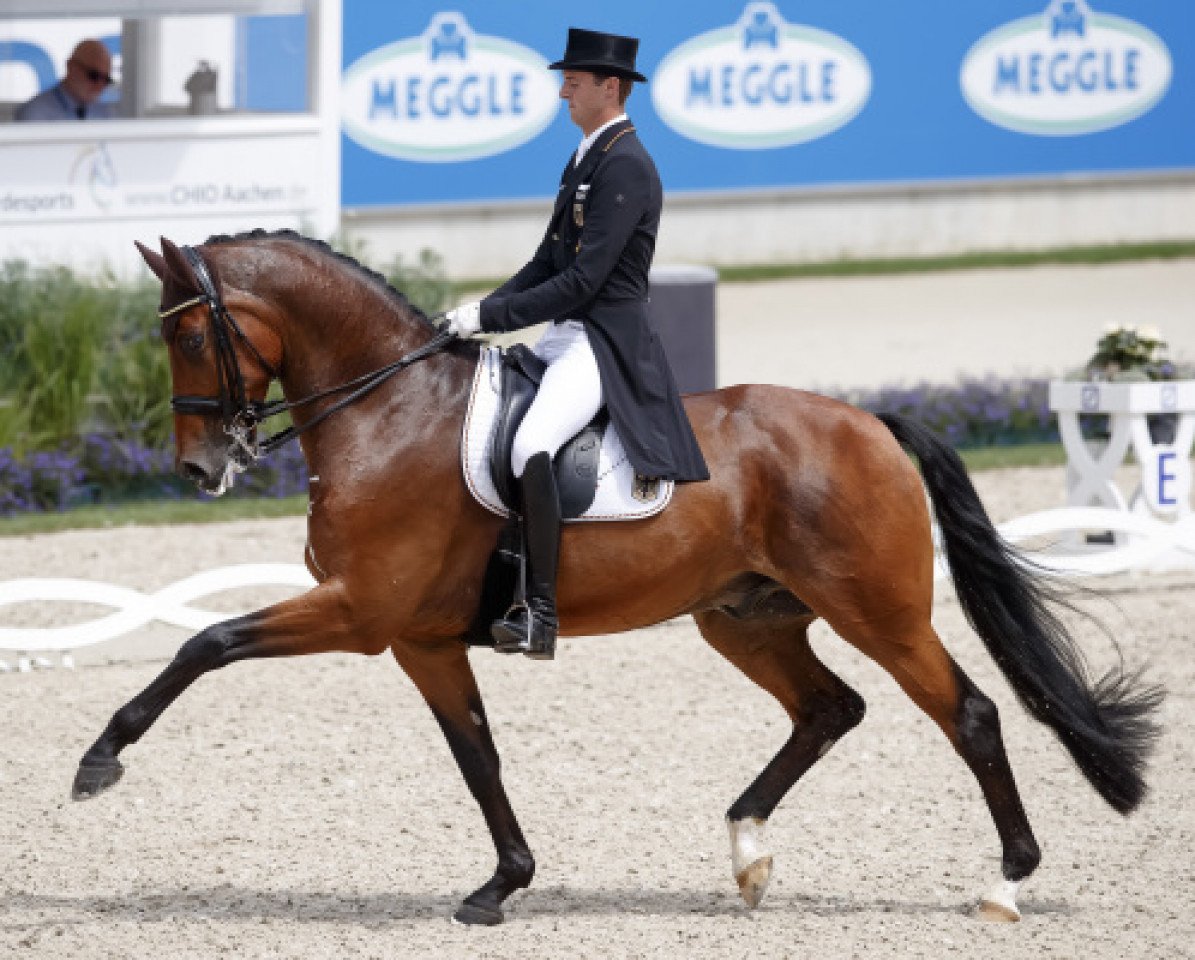 Dressurpferd Cosmo 59 (KWPN (Niederländisches Warmblut), 2007, von van Gogh)