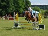 jumper Mark Caligua (German Riding Pony, 2002, from Max)