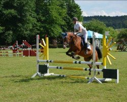 jumper Mark Caligua (German Riding Pony, 2002, from Max)