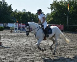 broodmare Canberra S (Oldenburg show jumper, 2004, from Calato)