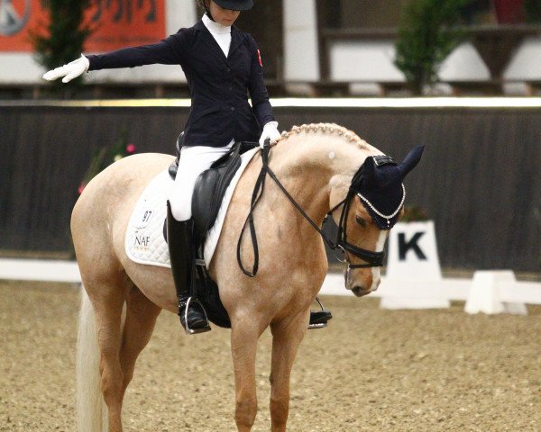dressage horse Dearly (German Riding Pony, 2010, from FS Don't Worry)
