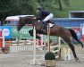 jumper Smudo 15 (Hanoverian, 2014, from Sandokan 290)