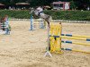 jumper Carlotta L 3 (Oldenburg show jumper, 2012, from Califax)