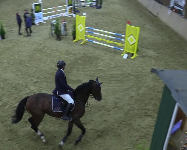 Reitturnier Bad Salzuflen 2021
