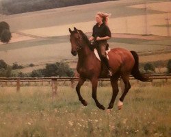 horse Gigolo 168 (Hanoverian, 1980, from Grande)