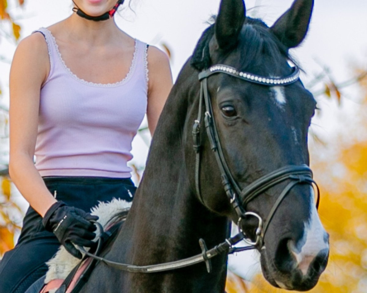 dressage horse Riverdance 72 (Hanoverian, 2008, from Rascalino)