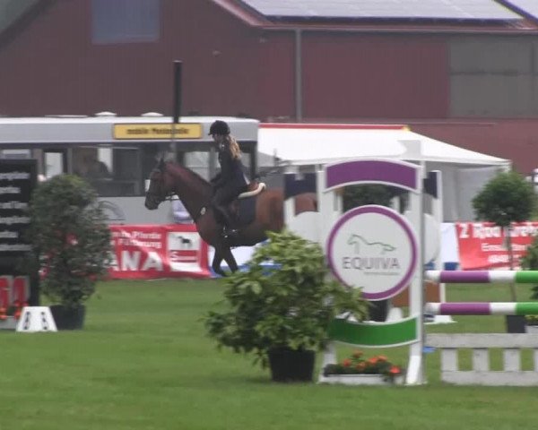 Dressur- und Springturnier Rheine-Wadelheim 2014