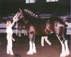 broodmare Wolf Mound's Lady Determination (Clydesdale, 1995, from Armageddon's Lord Esau)