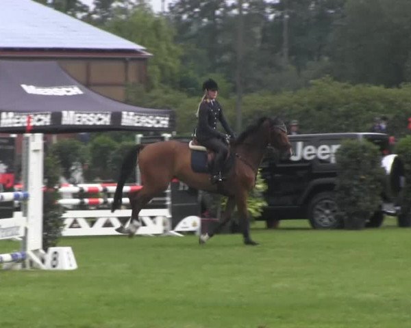 Dressur- und Springturnier Rheine-Wadelheim 2014