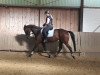 dressage horse Columbcille Lady (Irish Sport Horse, 2015, from Dondoctro Ryal K)