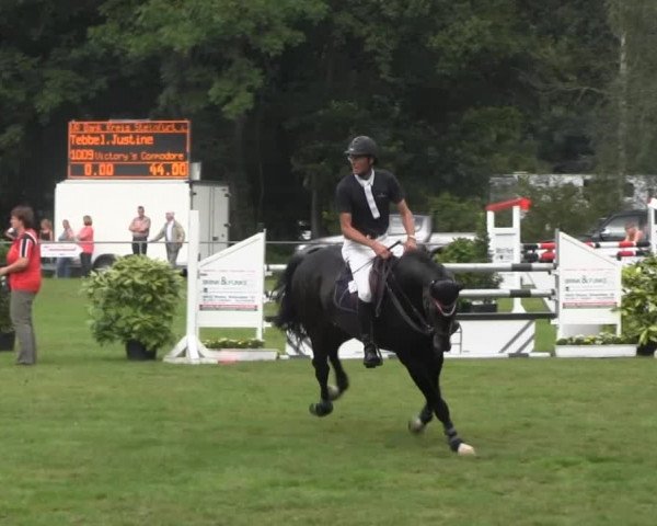 Dressur- und Springturnier Rheine-Wadelheim 2014