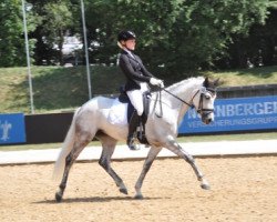 broodmare DSP Lettenhofs Lovely Enjoymen (German Riding Pony, 2010, from Dörnberg's Erimon II)