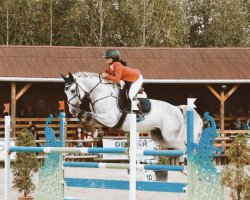 jumper Rolex N K (Hungarian Warmblood, 2009)