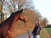 broodmare Ascada (Westphalian, 2003, from Amantus)