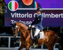 dressage horse Toulouse 72 (German Riding Pony, 2008, from Kingston)