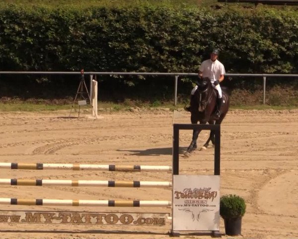 Springturnier Neunkirchen-Salchendorf 2014