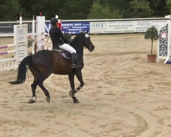 Reit- und Springturnier RSV Püttlingen 2014
