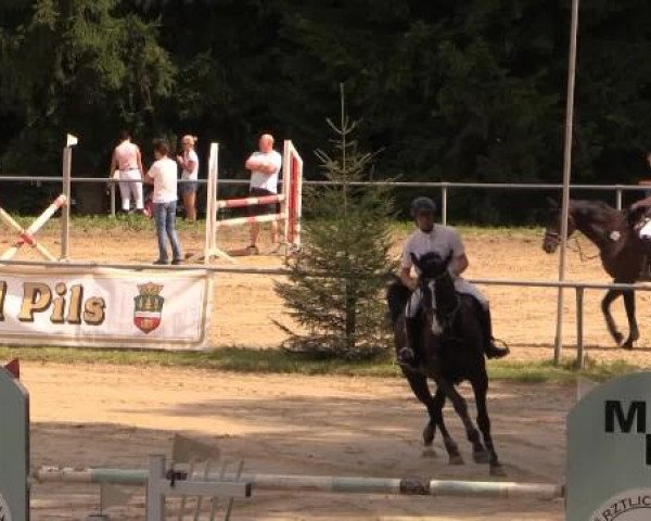 Springturnier Neunkirchen-Salchendorf 2014