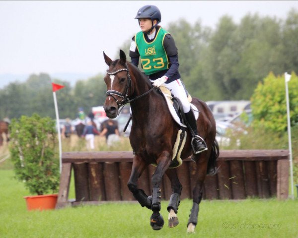 broodmare Maybe 104 (German Riding Pony, 2007, from Montreal)