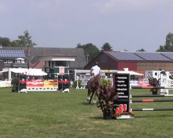 Dressur- und Springturnier Rheine-Wadelheim 2014