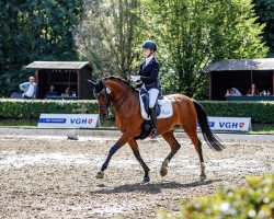 dressage horse Jonny Be Good 2 (German Riding Pony, 2008, from Keerlke)